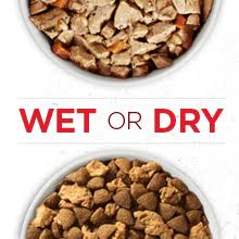 Amazon Com Purina One Natural Dry Dog Food Smartblend Chicken Rice Formula 8 Lb Bag Pet Supplies