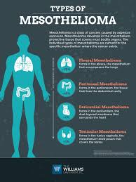 Each individual is unique, so survival rates, treatments and symptoms vary by pati. Types Of Mesothelioma The Williams Law Firm Firm