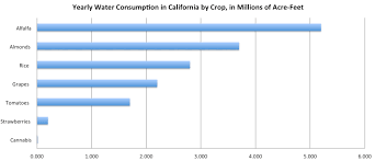 On Water And Weed Is Marijuana Responsible For Californias