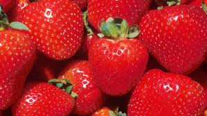 Jun 24, 2020 · surface of a strawberry under a microscope. Fact Check Yes Little Bugs May Live In Your Strawberries And Blueberries