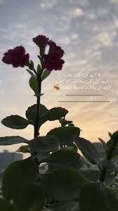 همسة لا أريد أن أكون عاديه أريد أن أكون باقة نور أو زهره أريد أن يقال بـ سببها أتفاءل Beautiful Arabic Words Instagram Planner Flower Aesthetic