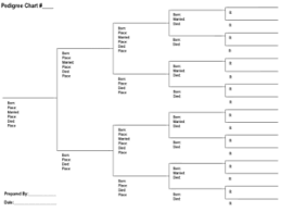 Genealogy In A Jiffy 2 Getting Started On A Shoestring