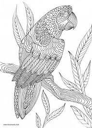 16 days later when he came back, the nest was empty. Pin On Coloring Books Printable