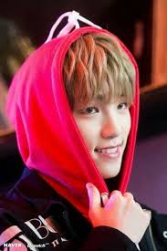 Jun 21, 2021 · new seventeen album your choice is intended as a comfort album, going back to one of the most explored yet expansive concepts in the annals of pop culture. Dino Seventeen Foto 41010276 Fanpop Page 4