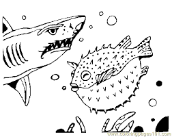 There's something for everyone from beginners to the advanced. Shark Coloring Page 03 Coloring Page For Kids Free Shark Printable Coloring Pages Online For Kids Coloringpages101 Com Coloring Pages For Kids