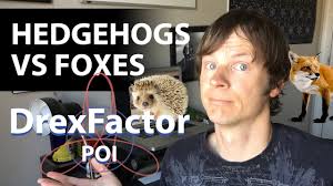 Are You a Hedgehog or a Fox? Flow Arts Personality Types