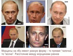 Путін буде гостем на весіллі глави МЗС Австрії Кнайсль - Цензор.НЕТ 1482