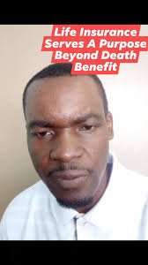 Poultry Farmers Zimbabwe Broilers Road Runners and Chicks