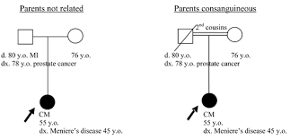 Instructions On How To Draw A Pedigree Iowa Institute Of