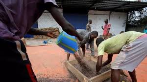 Le Gouvernement Ivoirien Decide De Soutenir Leur Producteur De Cacao En 2020 Cacao Feve De Cacao Producteur
