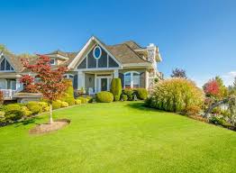 Maybe you would like to learn more about one of these? Which Type Of Grass Is Right For Your Kansas City Lawn