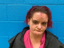 Detective Grant Robinson with the McDowell County Sheriff's Office charged  both 42-year-old Jerry Alvin Jones and 36-year-old Barbara Crystal Surrett  with felonious Breaking or Entering and felonious Larceny after Breaking or  Entering.