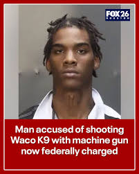 K9 Andor was shot twice in the neck and once in the chest. Police said the  dog's collar and bulletproof vest each stopped a bullet.  https://www.fox26houston.com/news/darrin-king-waco-k9-andor-shooting-federal-charge?utm_campaign=trueanthem&utm_medium  ...