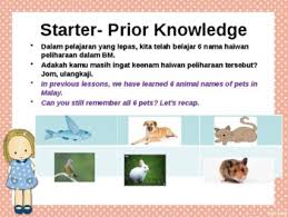 Terjemahan kata update dari bahasa inggris ke bahasa indonesia dan contoh penggunaan update dalam kalimat dengan terjemahannya bahasa ceko bahasa jerman bahasa kroasia bahasa italia bahasa belanda bahasa perancis bahasa spanyol bahasa denmark bahasa latin. Bahasa Melayu Year 1 First Language My Pet By Noraini Binti Ab Rasid