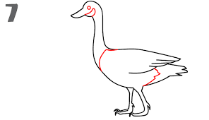 Learn how to draw and paint a canada goose in acrylics on canvas. Cartoon Goose Drawing Easy Cartoon On Net