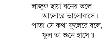 Rabindranath tagore poems in bengali: On The Wings Of Hummingbirds Rabindranath Tagore S Little Poems An Invitation To A Review Cum Workshop