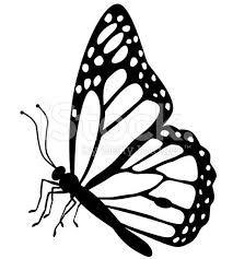 Free Free 113 Butterfly Side View Svg SVG PNG EPS DXF File