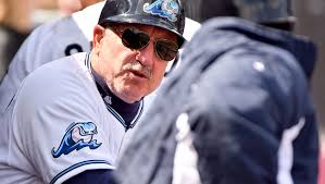 Fun, sun, suds and grub! Fans' guide to minor-league baseball