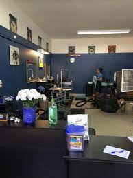 Wellness, vaccinations, surgery, dentistry, boarding San Diego Pet Hospital Yelp The Y Guide