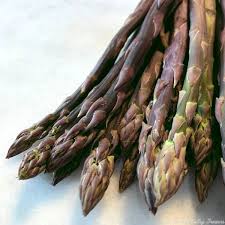 Image result for Asparagus suaveolens