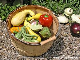 how much to plant per person in the vegetable garden