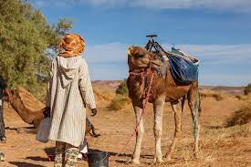 Your morocco tour is a localized and registered. Morocco S Sahara Desert In May Travel Tips Weather And More Kimkim