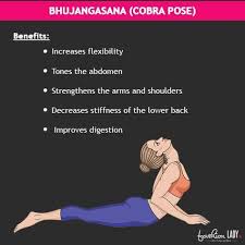 Pin By Leila A On Ssu Yoga Benefits Facts Yoga Benefits Yoga Tips