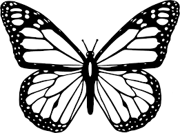 Shown above is a black and white silhouette illustration of a lovely large butterfly! Butterfly Black And White Clipart Black And White Butterfly Wikiclipart