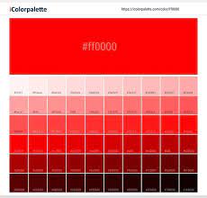 Pin On Color Palettes