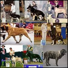 Maybe you would like to learn more about one of these? The Family Pet Hospital Home Facebook