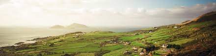 You are not automatically an irish citizen if you were born on the island of ireland. Ireland Citizenship By Investment Irish Investor Visa 2020