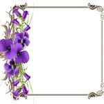 fond de mariage cartao criativo papel de fundo convite