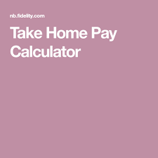 Take Home Pay Calculator In 2020 Pay Calculator Financial Strategies Federal Income Tax