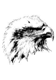 Download Eagle Head Black And White Clipart Free Svg File Svgheart Com
