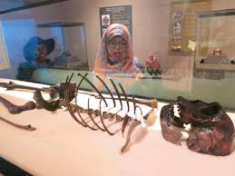 Turkana county borders south sudan, ethiopia and uganda and is globally renowned as the cradle of mankind: New Support For Human Evolution In Grasslands