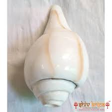 Best Shankh For Home: Enhance Positive Energies!
