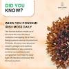 Sea moss gel can be added to soups, teas, smoothies, jams, desserts, and even more. 1