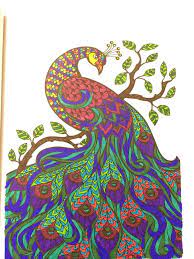 Explore 623989 free printable coloring pages for you can use our amazing online tool to color and edit the following coloring pages of a peacock. Coloring Book Finished Peacock Coloring Pages Novocom Top