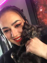 This tiny longhair tortie came into the cat rescue today.