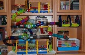 Use tunnels to attach additional units or accessories to your plastic hamster cage like the rotastak home and away travel case. Rotastak Cages
