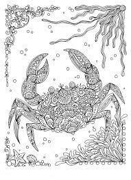 The empowering coloring book for girls Pin On In The Sea Color Me