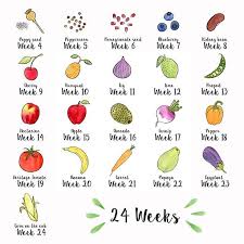 Pin On Fruit And Vegetable Graph Things