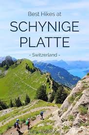 4 Best Hikes At Schynige Platte Map Info Tips Best Hikes Platte Hiking