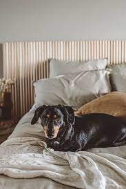 diy headboard with porta timber bunnings krumbled diy headboard diy bed headboard headboard inspiration