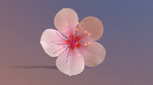 Cherry Blossom 2 By Pinotoon In 2020 Cherry Blossom Blossom Royalty Free