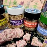 Drop in Seed Paper Workshop