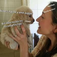 Floof Bork Snoot 'N' Boop