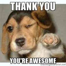 100 Thank You Memes Images And Funny Thanks Meme Pics Funny Dogs Funny Dog Pictures Puppies Funny Saying something about you, your dog, your likes or even your dislikes! funny dogs funny dog pictures