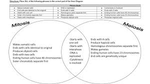 Getting the books cell division mitosis meiosis answer sheet now is not type of inspiring means. Comparing Mitosis And Meiosis Ppt Download