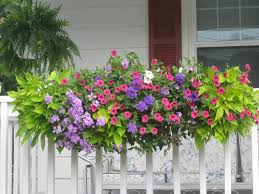 Shop the best in artificial flowers and plants, from faux flowers to dried flowers and vases. Pin By Katie Hartmann On Love Window Boxes Window Box Flowers Window Box Plants Planter Boxes Flowers